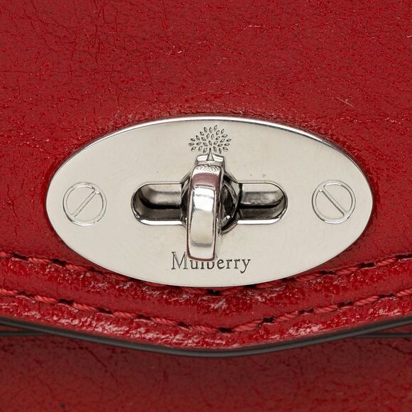 Mulberry Polished Buffalo Alexa Micro Crossbody - Picture 8 of 9